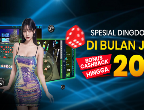 CASHBACK DINGDONG CUAN 20% !!